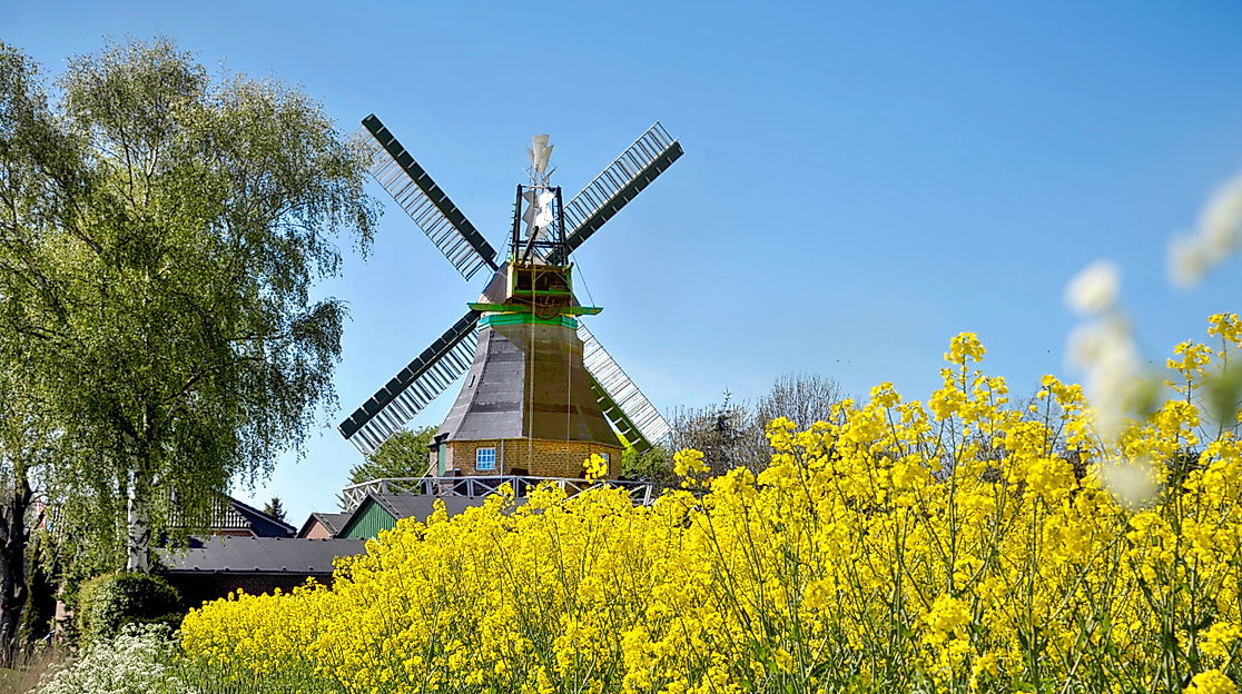 Kulinarisches an der Mühle