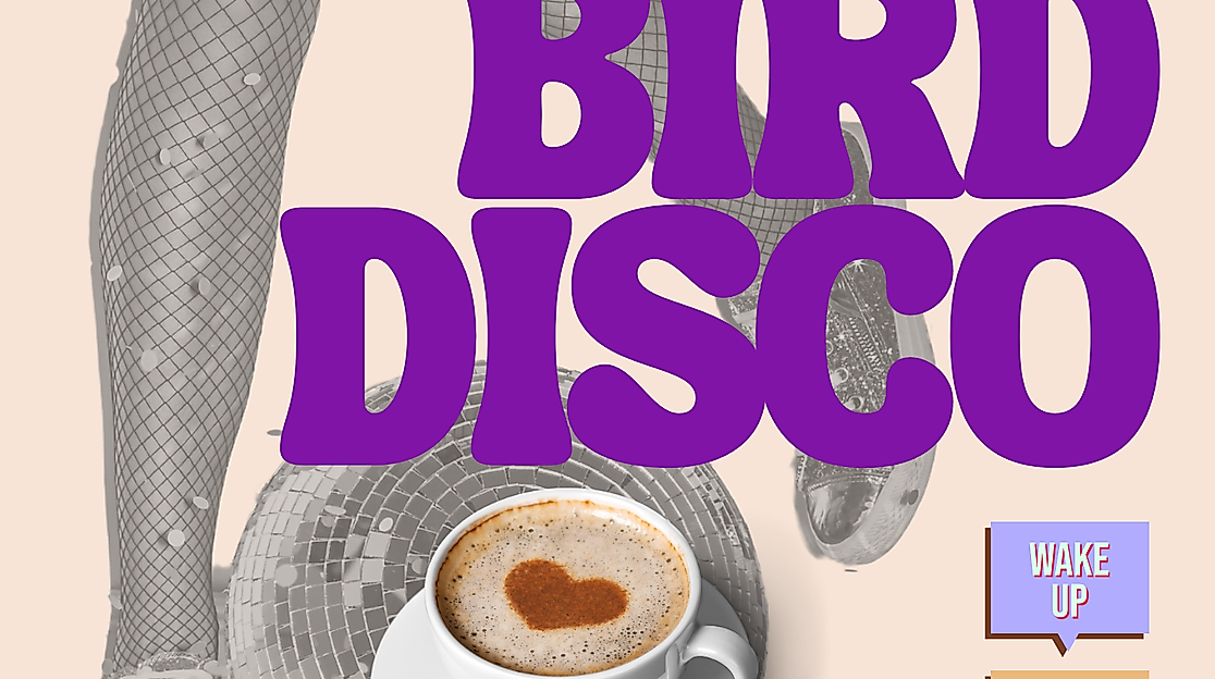 Early Bird Disco - Sommersalon