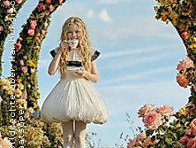 Ballett - Wunderland