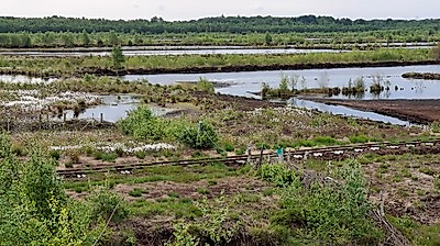 Himmelmoor und Quickborn