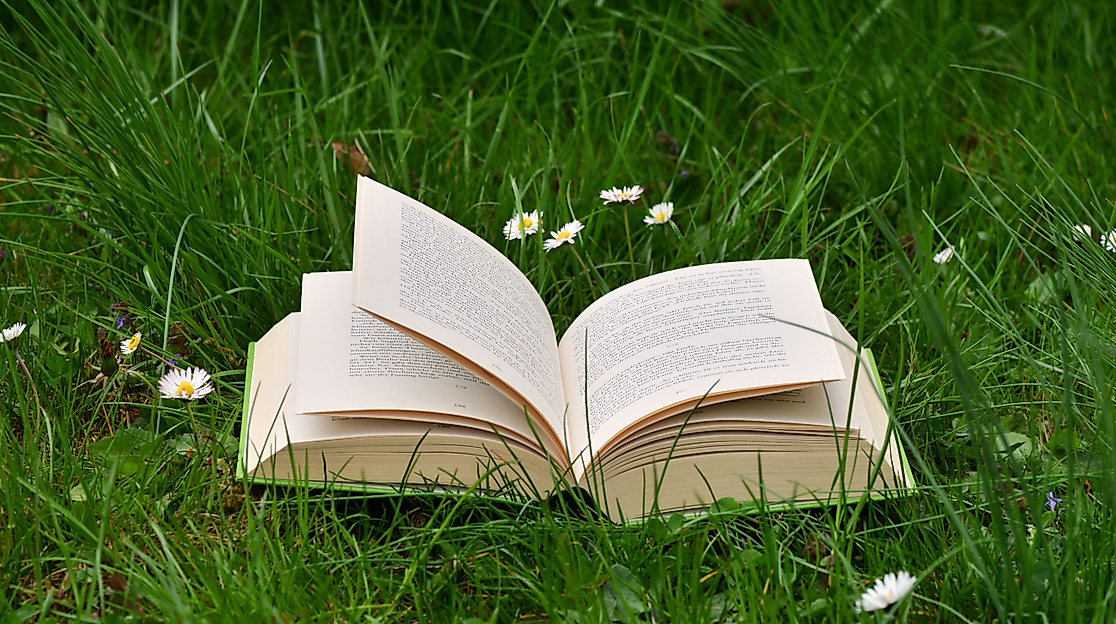 offenes Buch auf einer Weise