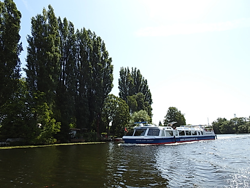 Bille Billerhuder Insel  (81)