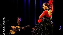 Flamenco Puro