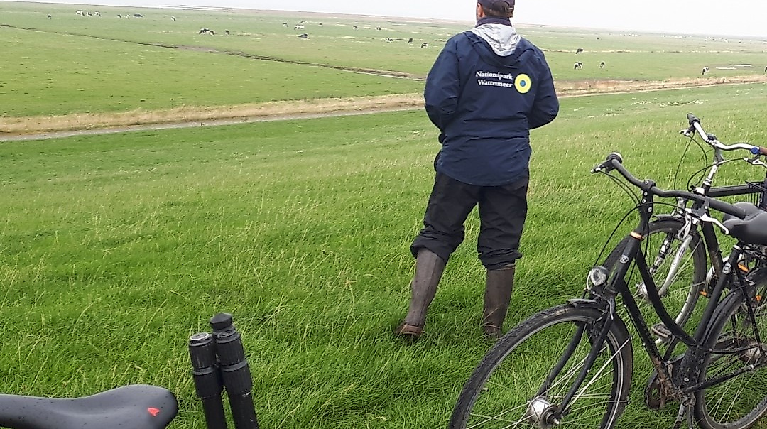 Wildnistour: mit dem Ranger zu den Brutvögeln