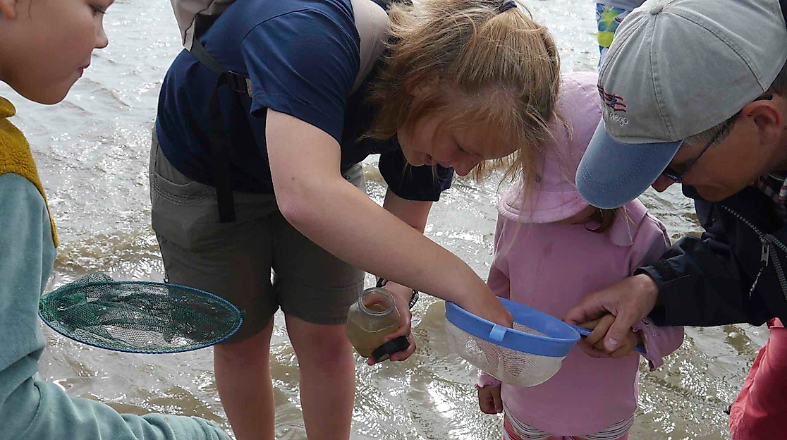 Wattwanderung für Familien: Das Watt entdecken!