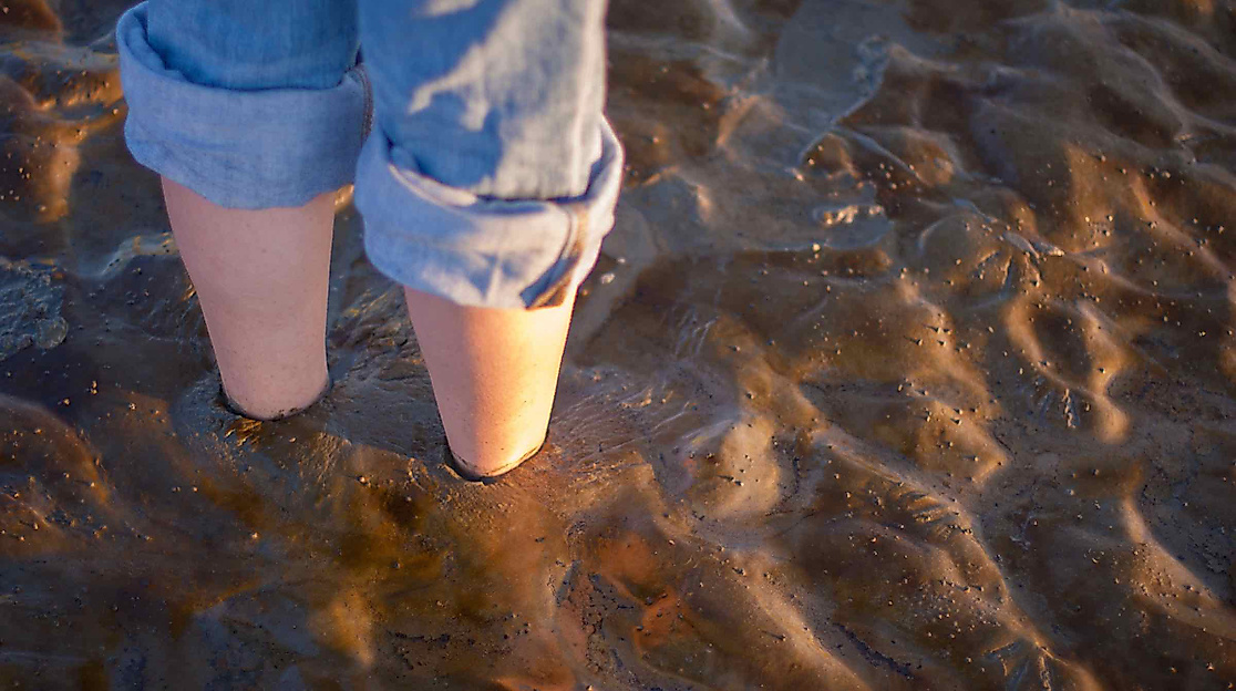 Führung: Wattwanderung vor dem Meldorfer Speicherkoog