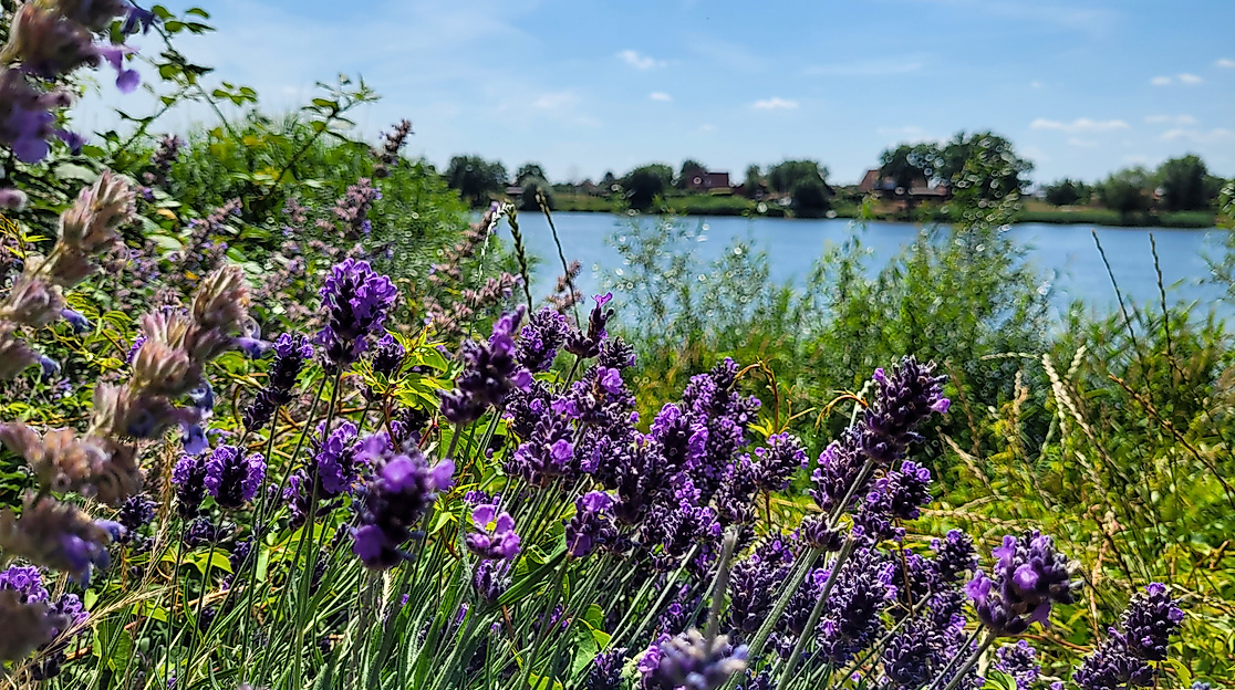 Tour mit dem Raddampfer "Kaiser Wilhelm" Fahrt mit der Old Merry Tale Jazzband