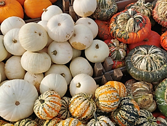 Bauernmarkt am Hafen mit Fair Trade Markt