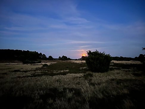 Naturpark-Erlebniswochen: Vollmondwanderung in der Weseler Heide