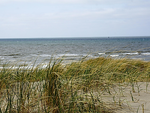 Achtsamkeit & Qi Gong in der Natur