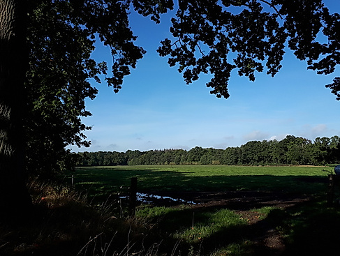 Zum Lütjensee