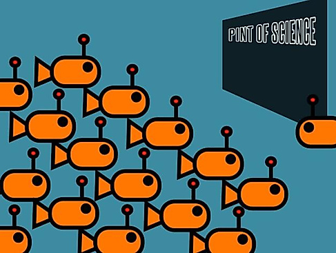teachingnemo