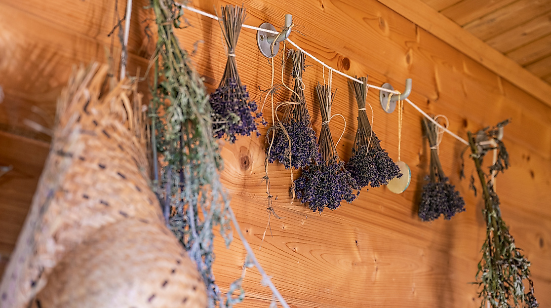 Kräutertag in Horstedt