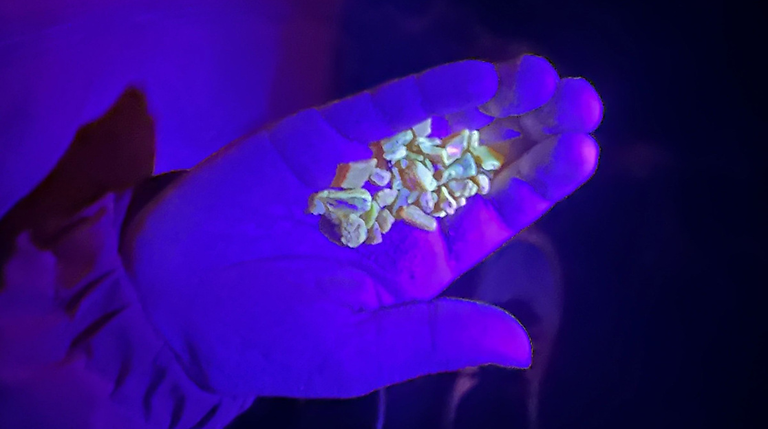 Bernstein unter UV-Licht