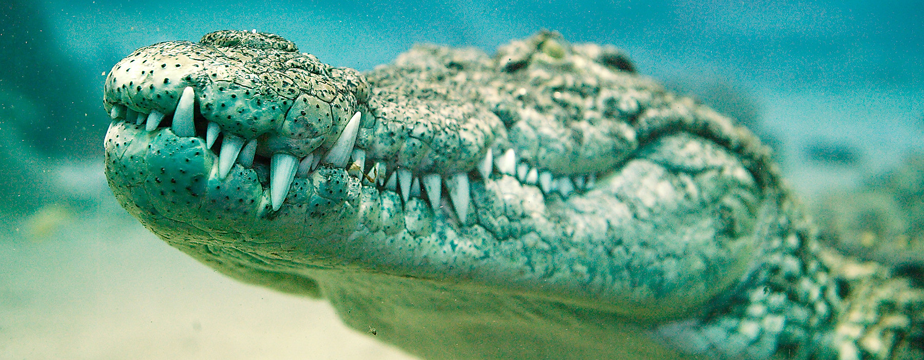Tropen-Aquarium Hagenbeck