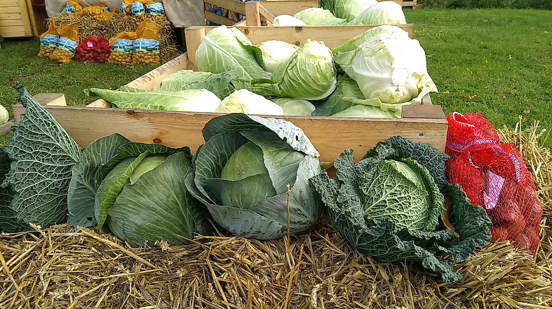 Wochenmarkt