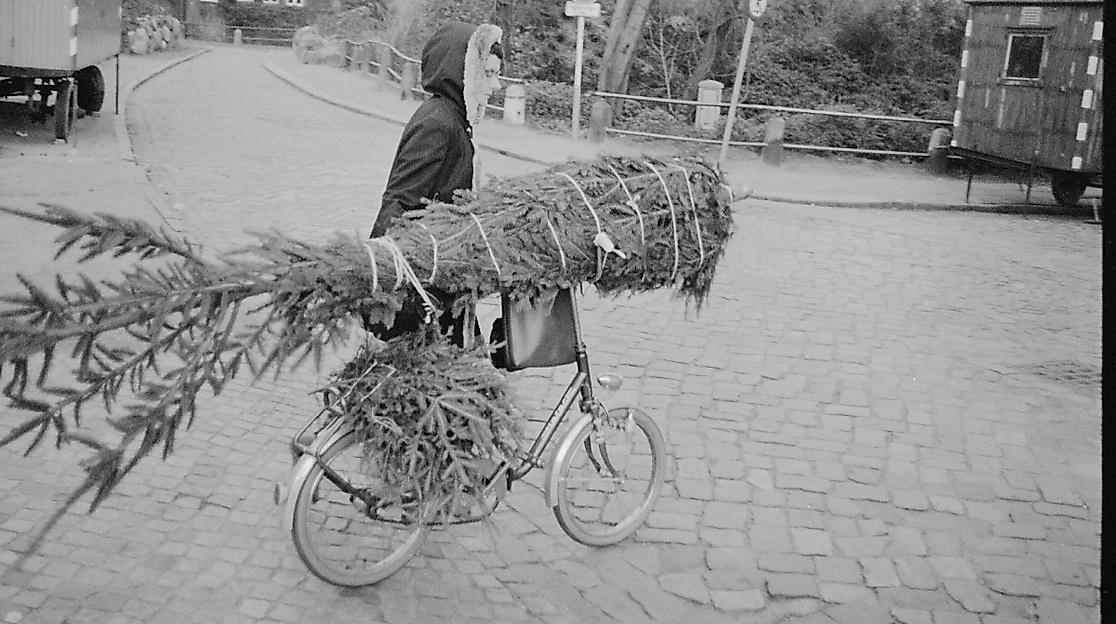 Tannenbaumtransport mit Fahrrad zur Weihnachtszeit
