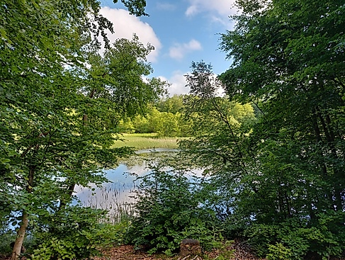 Im Land von Grün und Blau