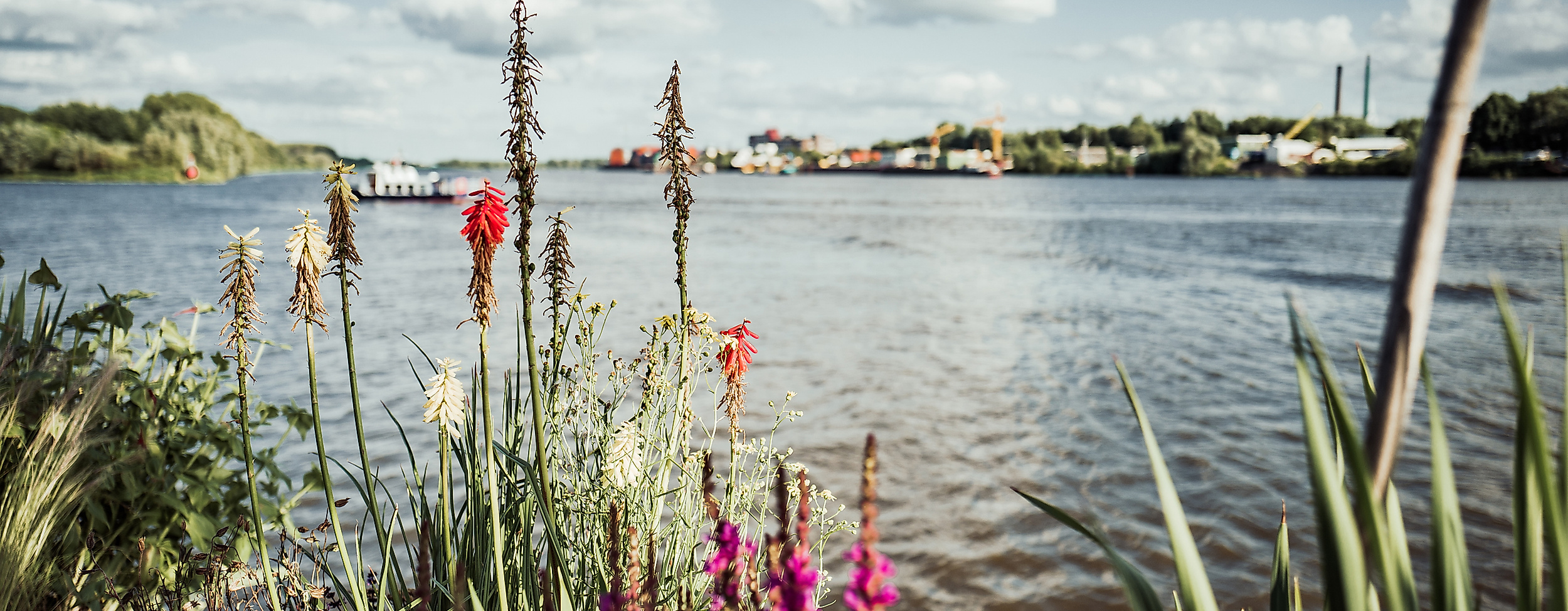 entenwerder_hhlal_c-2017-geheimtipp-hamburg-12