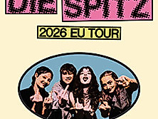 Die Spitz