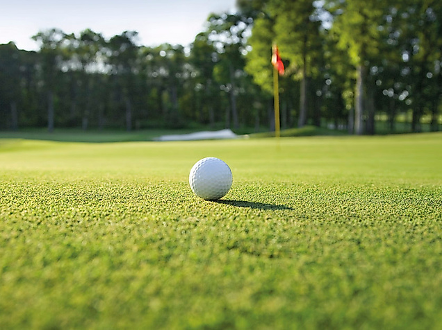 Golfclub am Sachsenwald