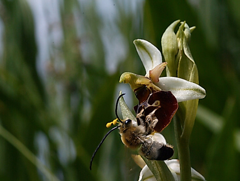 Gute Nachrichten vom Planeten