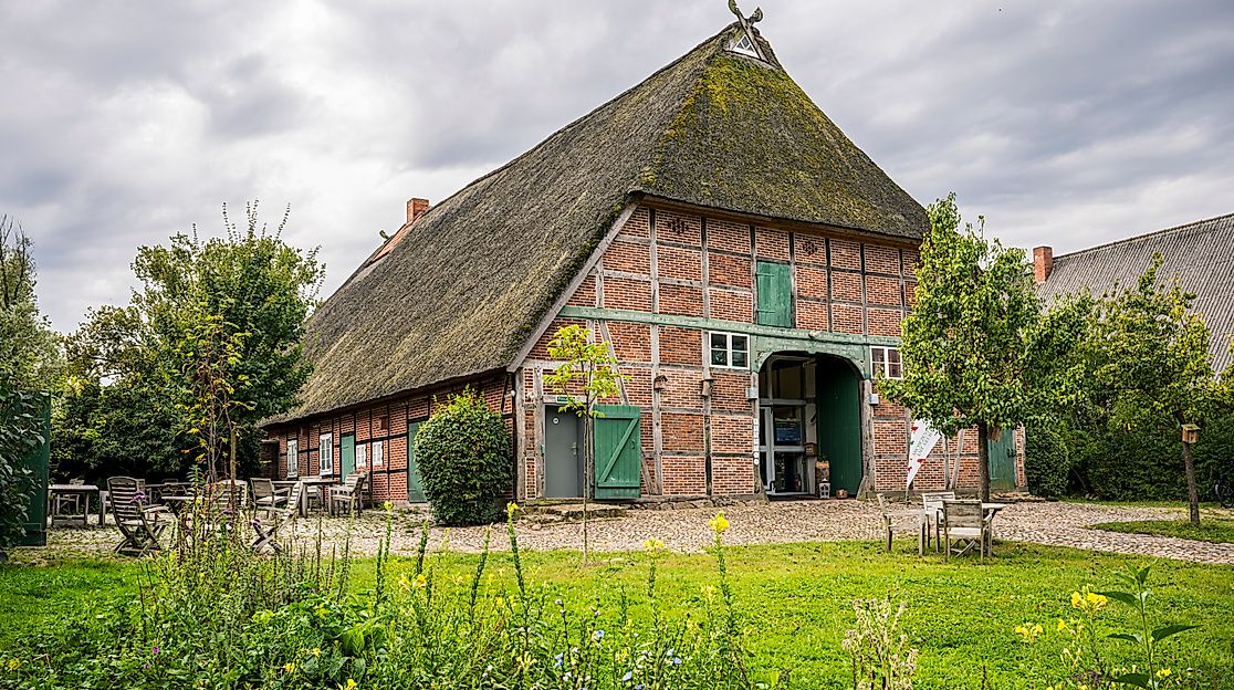 Filmvortrag - „Tiere der Elbtalaue“