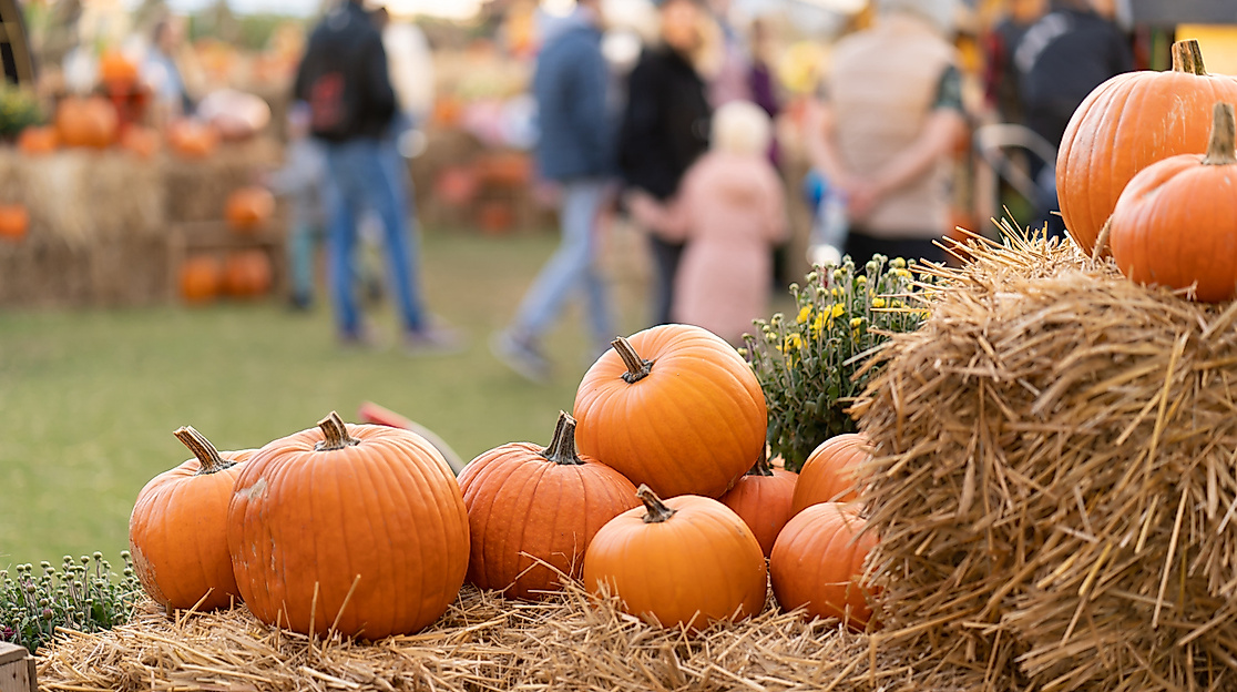 Kreativmarkt "Herbstzeit"