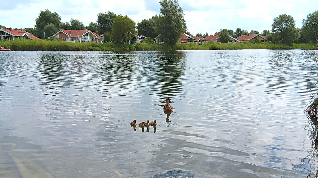 Jahreszeiten-Spaziergang für Trauernde