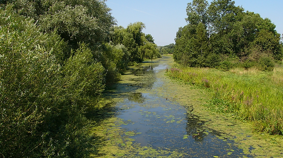 Boberger Dünen