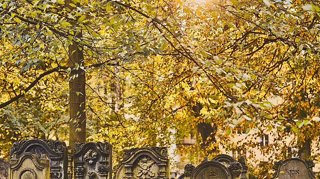 juedischer-friedhof-altona_c-2018-thisisjulia-photography-2