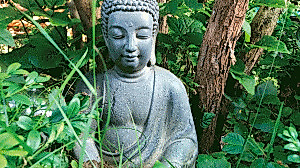 Yoga am Morgen in Cismar