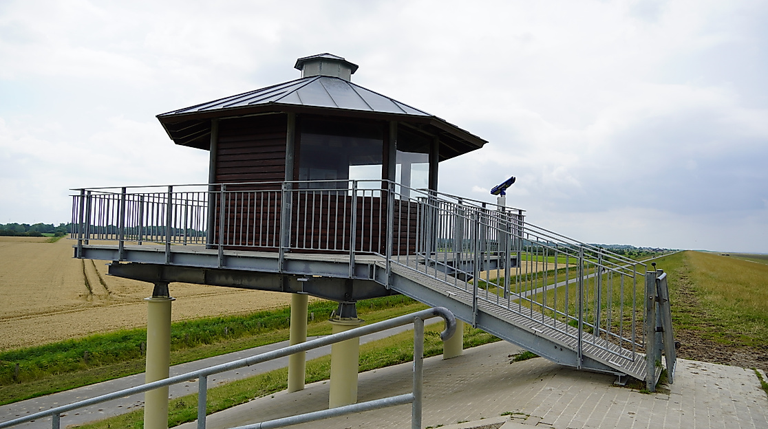 Den Zugvögeln ganz nah – Beobachtungsstation in Dorum-Neufeld