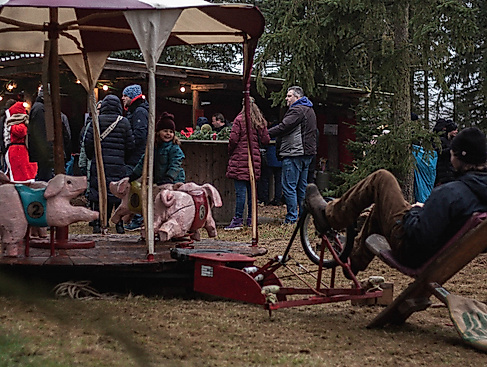 wilkenshoff-tannenbaum-schlagen-karussell-2