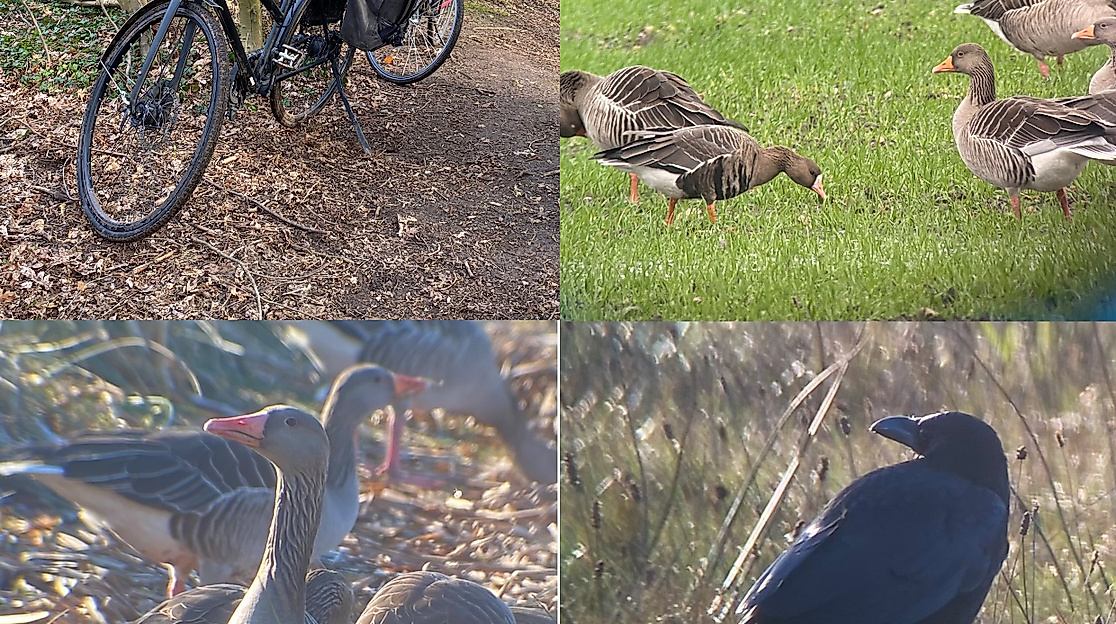naturfuhrung_fahrradtour-collage_2