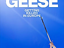 Geese - Getting Killed in Europe