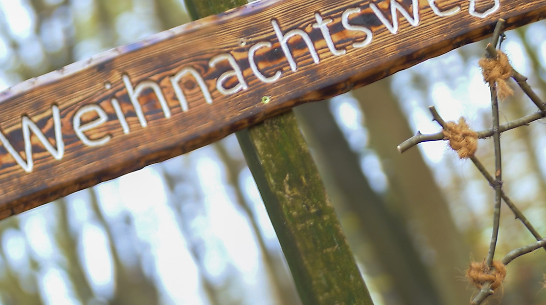 Weihnachtswaldweg_005