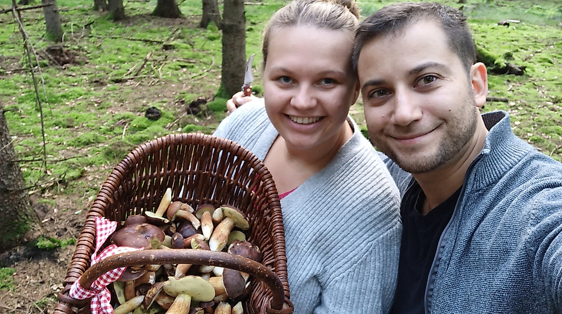 Pilzwanderung Hamburg, Pilzkorb nach Pilzführung im Wald