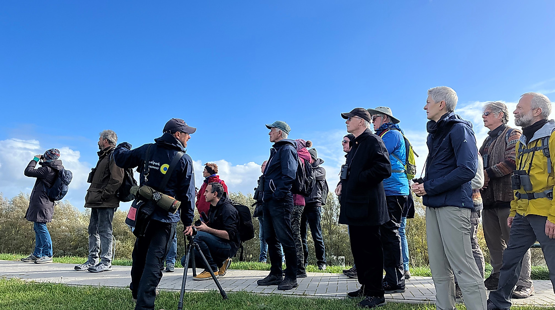 Mit dem Nationalpark-Ranger zu den Zugvögeln