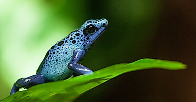 Tropen-Aquarium Hagenbeck