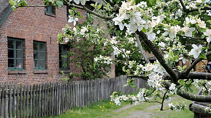 Wir radeln zum Museums-Bauerhof Wennerstorf