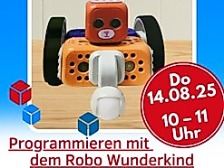 Robo Wunderkind