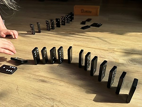 Domino600px