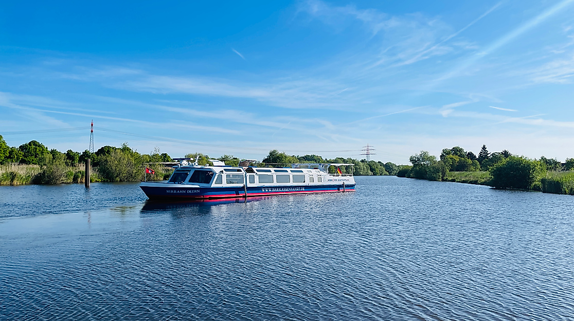 Serrahn Deern 2025 (1)