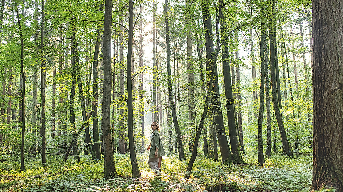 Wildkraeutespaziergang Hamburg