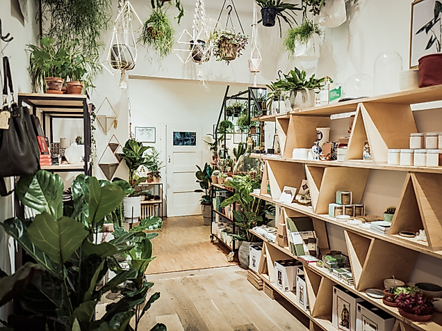 Winkel van Sinkel