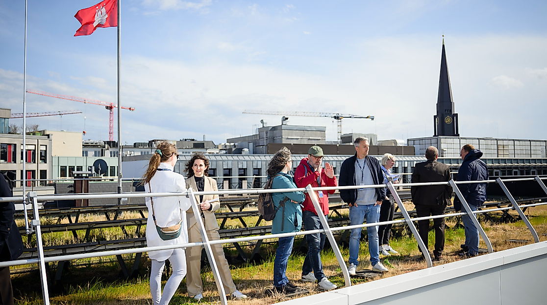Gründachbegehung im Rahmen der Week 2025