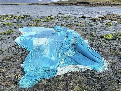 Chili Seitz, Intertidal