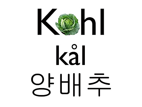 Kohl / kål / - Ein Kunstprojekt zu Landschaft, Landwirtschaft und Ernährung