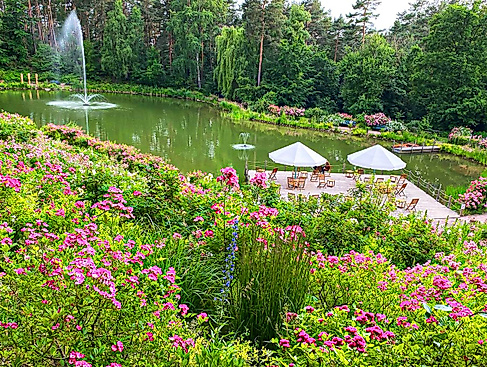 Rosenwochen am Michaelshof